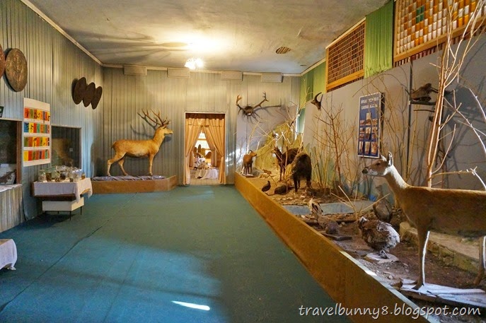 متحف لعرض حيوانات ونباتات مدينة شكي